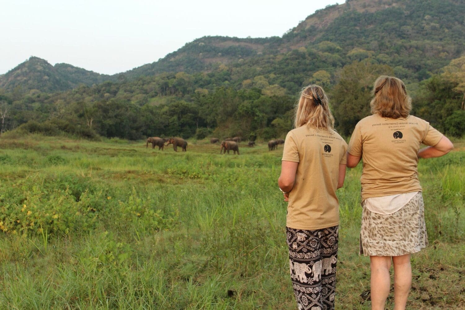 Animal-Volunteering-Abroad