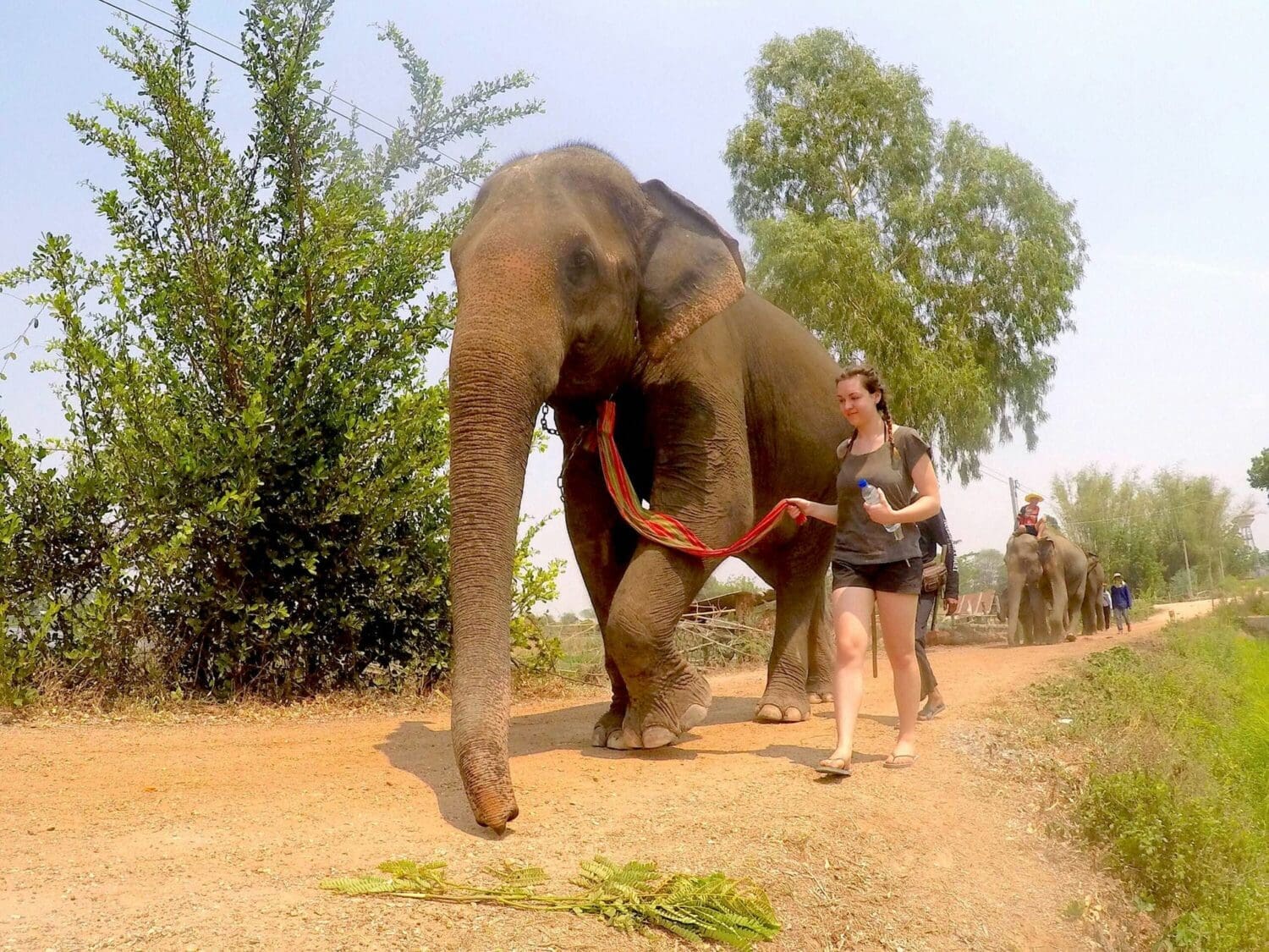 Volunteer in Surin Thailand