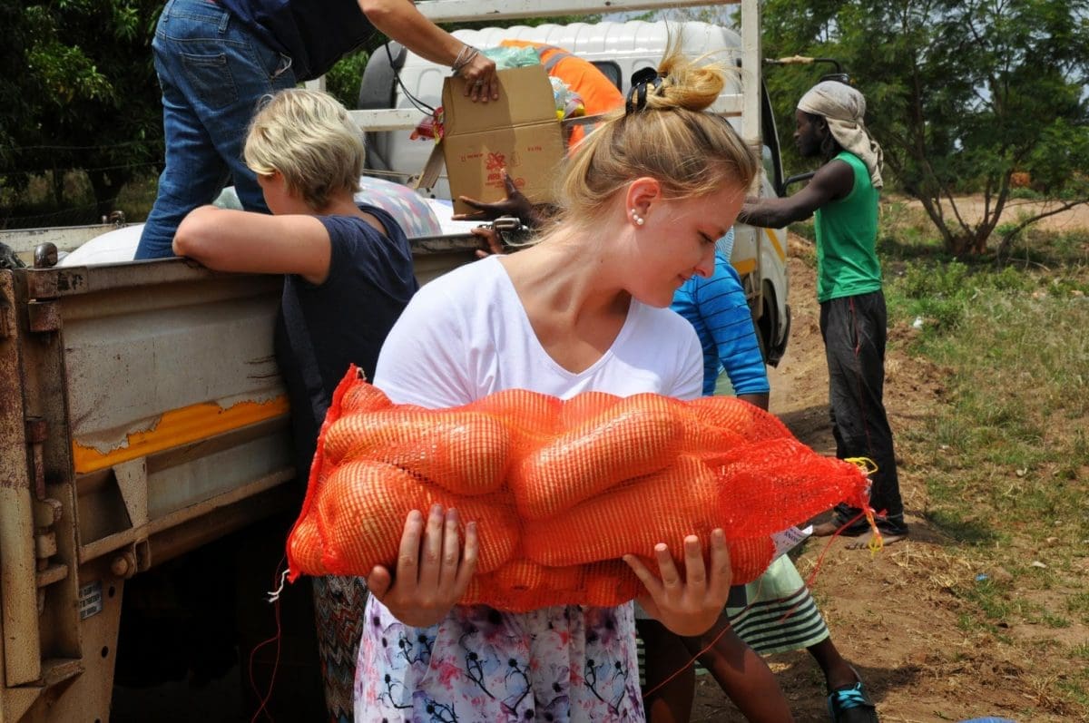 Volunteering at an organic farm