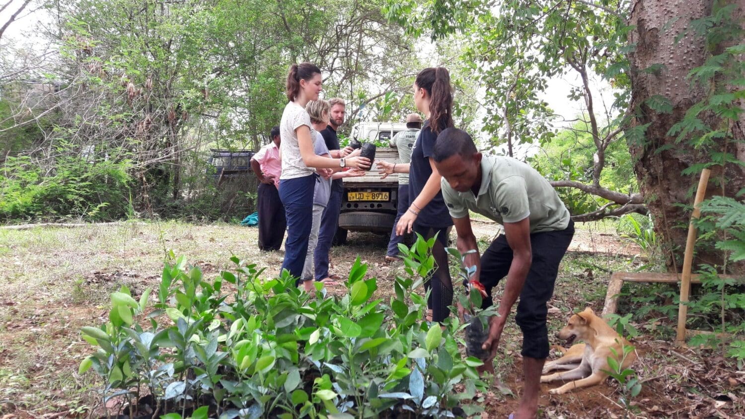 Volunteers on the animal conservation project