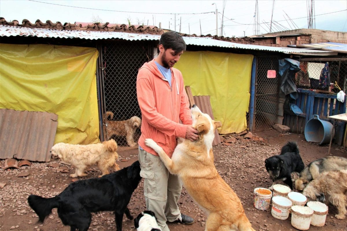 Volunteer in Peru