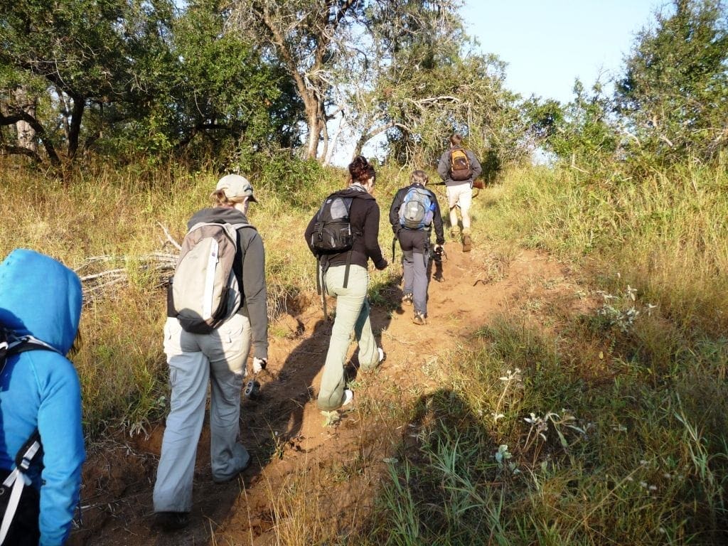 Wildlife Conservation South Africa Bush