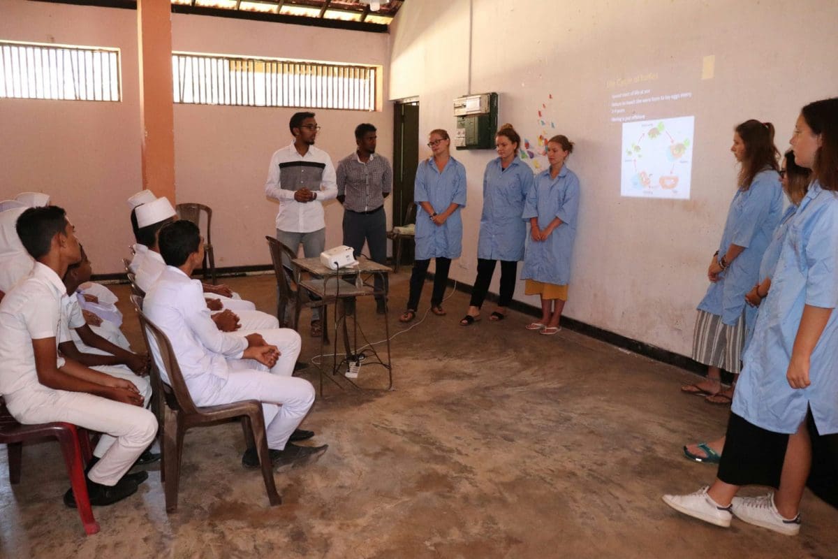 Medical students conducting a workshop in a school