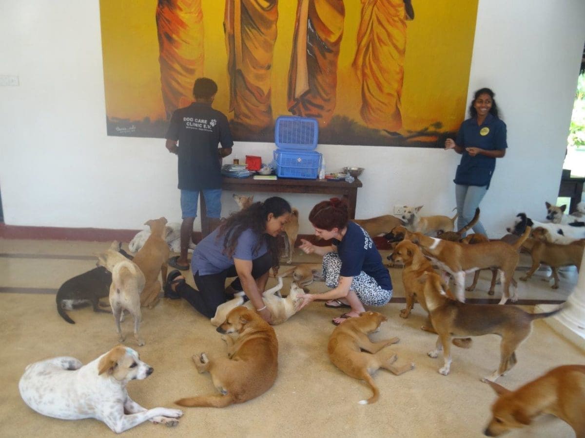 Volunteers helping staff at the clinic